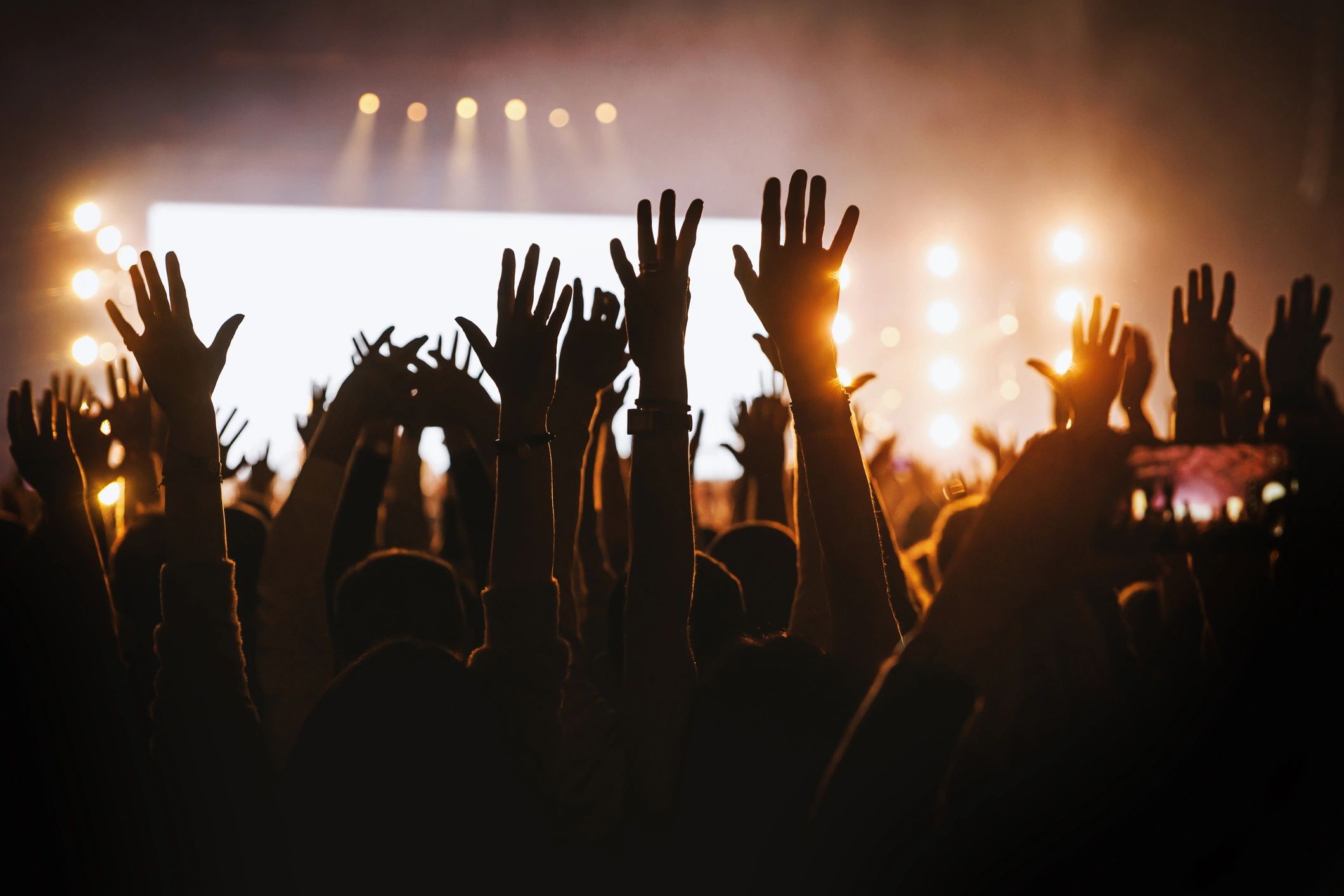 Silhouettes of fans cheering with hands up at music festival